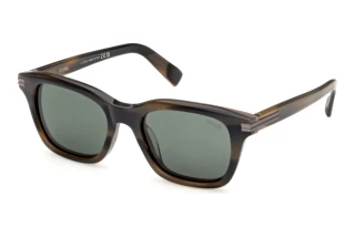 [glasses-front-view] Zegna EZ0303 (55R)