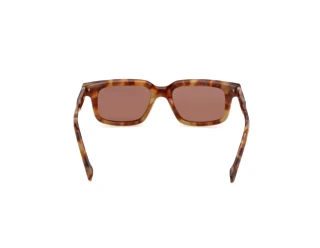 [glasses-back-view] Zegna EZ0312 (55E)