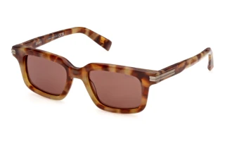 [glasses-front-view] Zegna EZ0312 (55E)