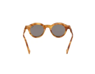 [glasses-back-view] Zegna EZ0313 (53E)
