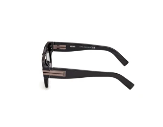 [glasses-side-view] Zegna EZ0317 (05E)