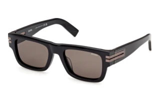 [glasses-front-view] Zegna EZ0317 (05E)