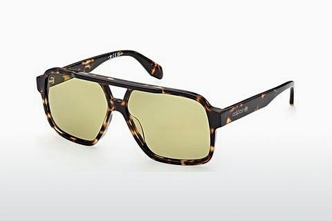 Sunglasses Adidas Originals OR0066 52Q