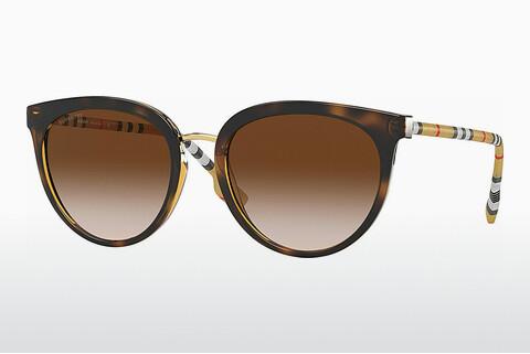 Solbriller Burberry Willow (BE4316 389013)