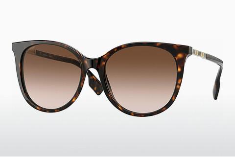 Saulesbrilles Burberry ALICE (BE4333 300213)
