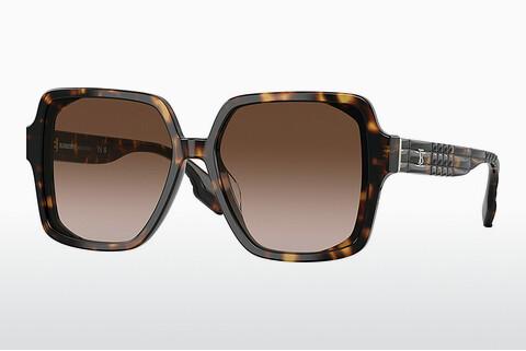 Sunglasses Burberry BE4379D 300213