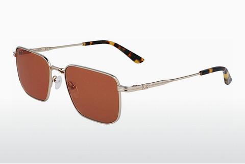Sunglasses Calvin Klein CK23101S 717