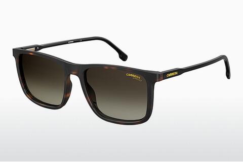 Sunglasses Carrera CARRERA 231/S 086/HA