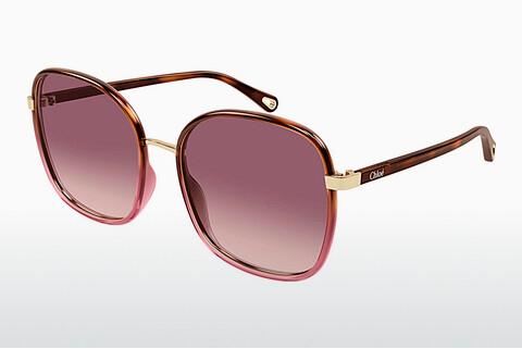 Sonnenbrille Chloé CH0031S 018