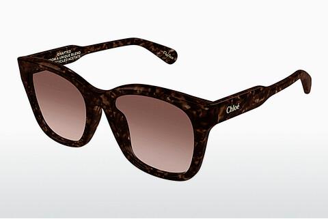 Ophthalmic Glasses Chloé CH0194SK 002