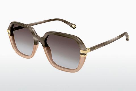 Sonnenbrille Chloé CH0204S 004