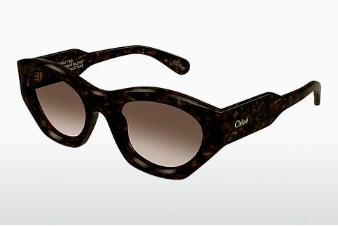 Sunglasses Chloé CH0220S 002