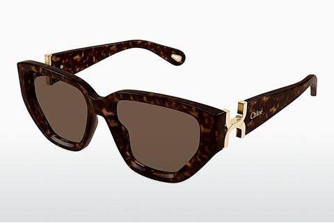 Sunglasses Chloé CH0235S 002