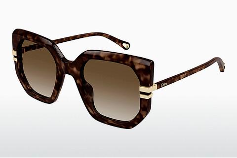 Sonnenbrille Chloé CH0240S 002