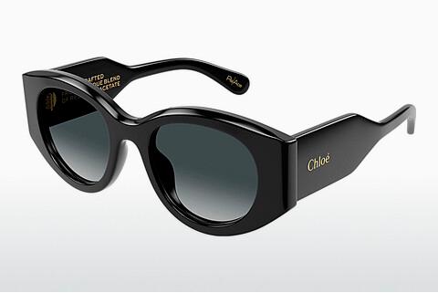 Sonnenbrille Chloé CH0251S 001