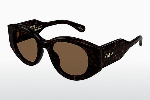 Sonnenbrille Chloé CH0251S 002