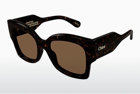 Sonnenbrille Chloé CH0252S 002