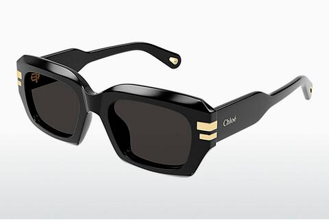 Sonnenbrille Chloé CH0256S 001