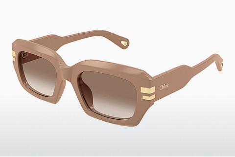 Sonnenbrille Chloé CH0256S 005