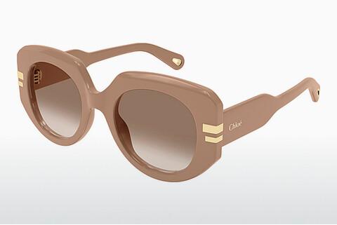 Solbriller Chloé CH0257S 005