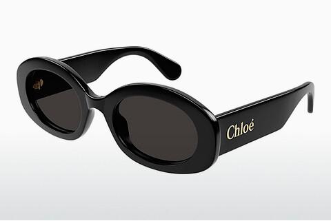 Sonnenbrille Chloé CH0258S 001