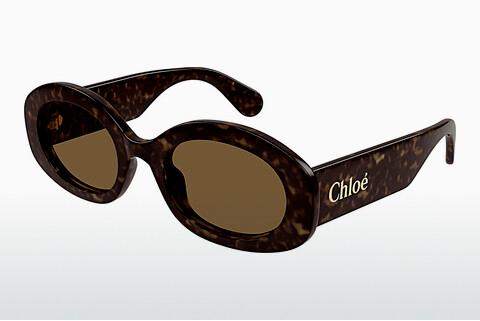 Sonnenbrille Chloé CH0258S 002