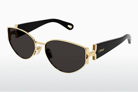 Sonnenbrille Chloé CH0260S 001