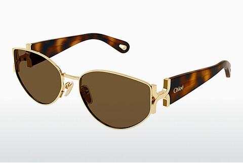 Sonnenbrille Chloé CH0260S 002