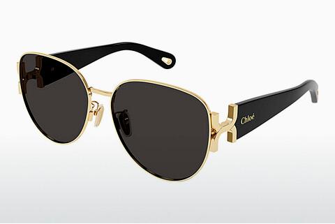 Sonnenbrille Chloé CH0261SK 001