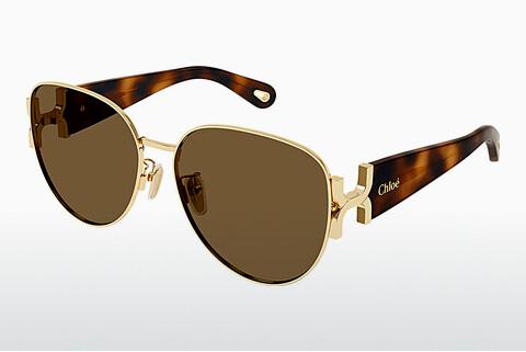 Sonnenbrille Chloé CH0261SK 002