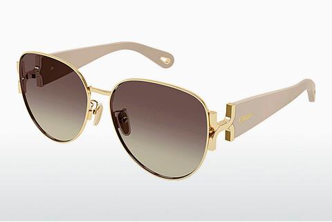 Sonnenbrille Chloé CH0261SK 003