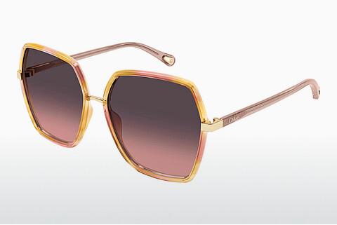 Solbriller Chloé CH0262S 003