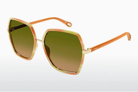 Solbriller Chloé CH0262S 004