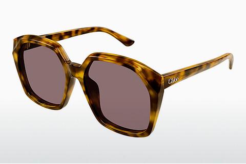 Sonnenbrille Chloé CH0280S 004