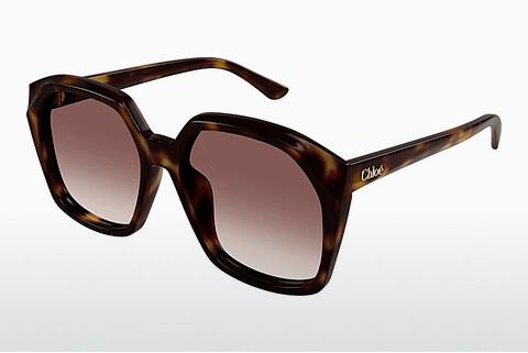 Sonnenbrille Chloé CH0280S 006