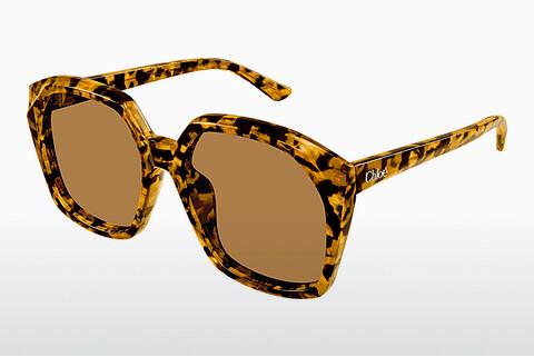 Sonnenbrille Chloé CH0280S 007