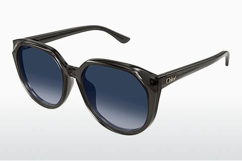 Sonnenbrille Chloé CH0291SK 001