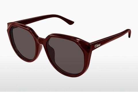 Sonnenbrille Chloé CH0291SK 002