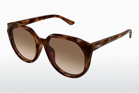 Sonnenbrille Chloé CH0291SK 003