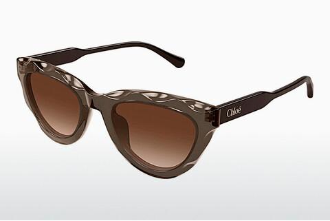 Sonnenbrille Chloé CH0294S 003