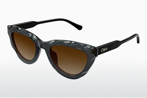 Sonnenbrille Chloé CH0294S 005