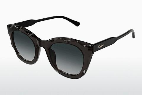 Sonnenbrille Chloé CH0295S 001