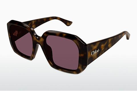 Sonnenbrille Chloé CH0300S 002