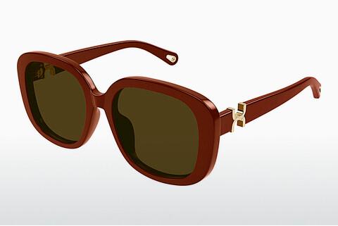 Sonnenbrille Chloé CH0303SK 004