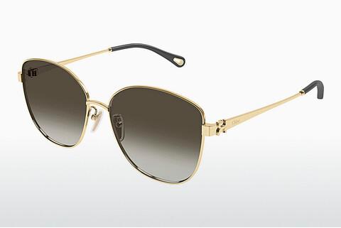 Sonnenbrille Chloé CH0306SK 003