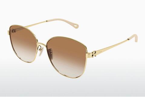 Saulesbrilles Chloé CH0306SK 004