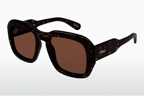 Sonnenbrille Chloé CH0310S 002