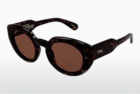 Sonnenbrille Chloé CH0311S 002