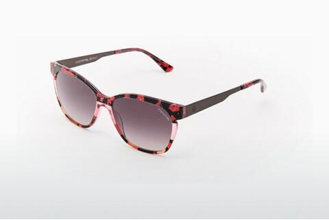 Sonnenbrille Comma 77136 73