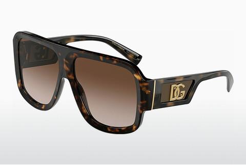 Solglasögon Dolce & Gabbana DG4401 502/13